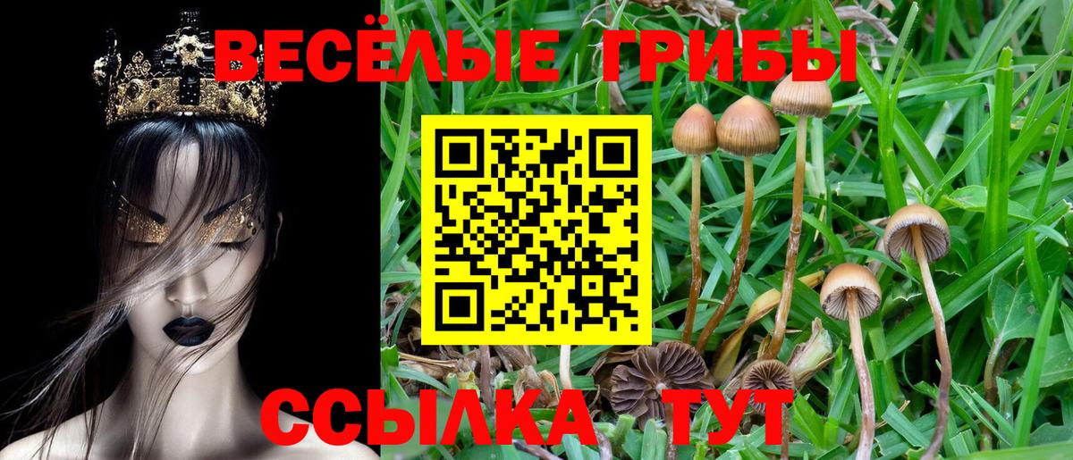 Галлюциногенные грибы ЛСД  Вход с VPN  Амурск 