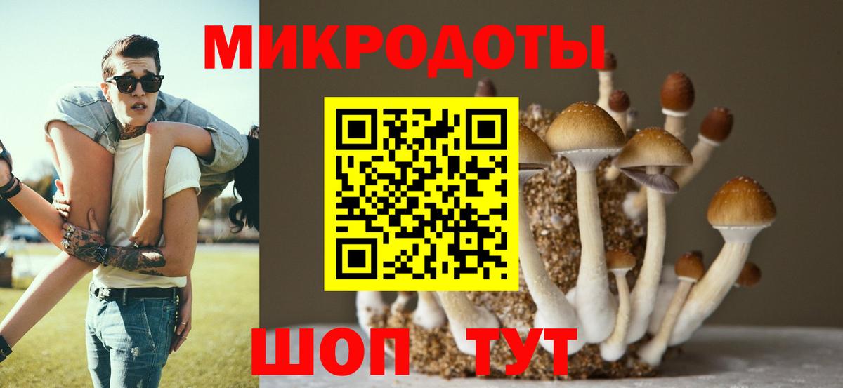Псилоцибиновые грибы Psilocybe Амурск